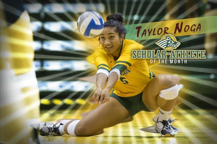 Surgical tech programs